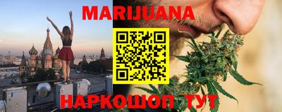 индика Кандалакша