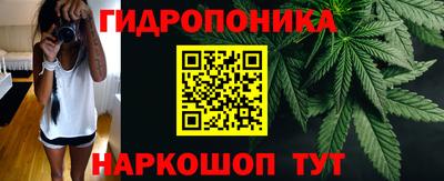 индика Кандалакша