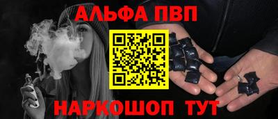 спайс Кингисепп
