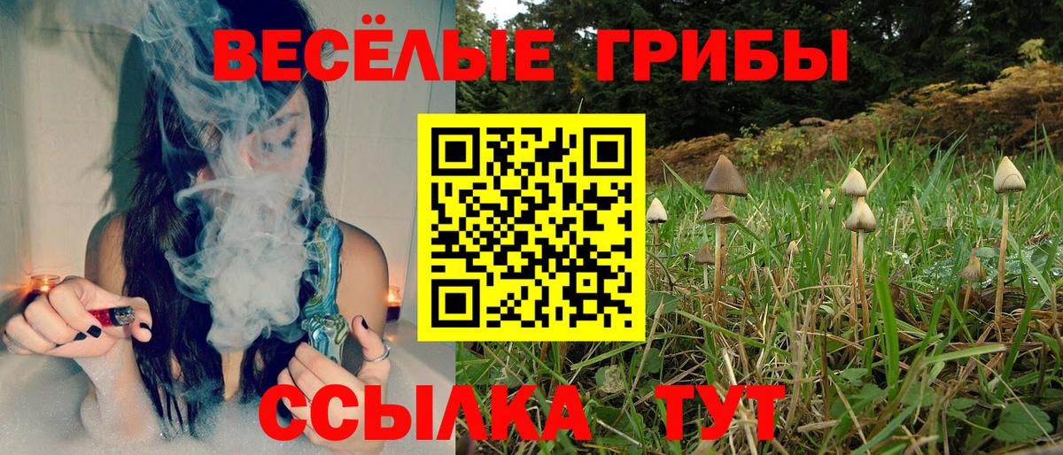 цены   Вход с VPN  Котельники  Псилоцибиновые грибы MAGIC MUSHROOMS 